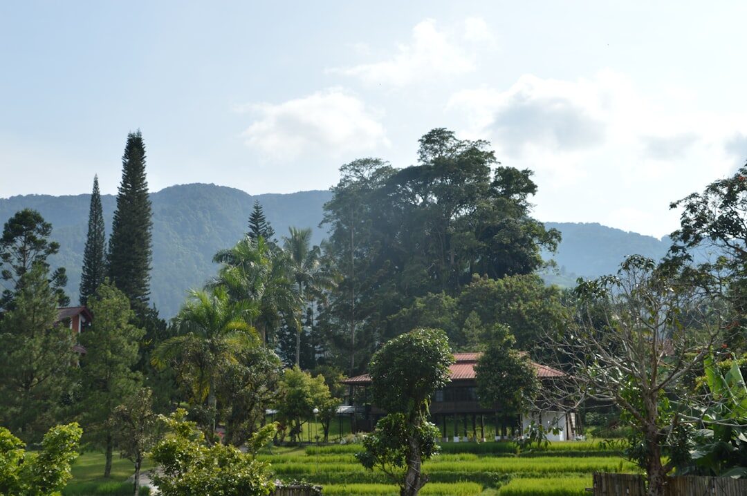mountain retreat villa